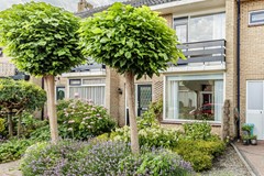 Begonia 34-56 - Bewerkt.jpg